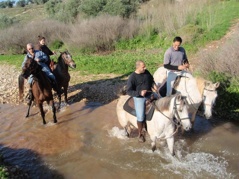 רכיבה זוגית על סוסים בחוות סוסים עליזה